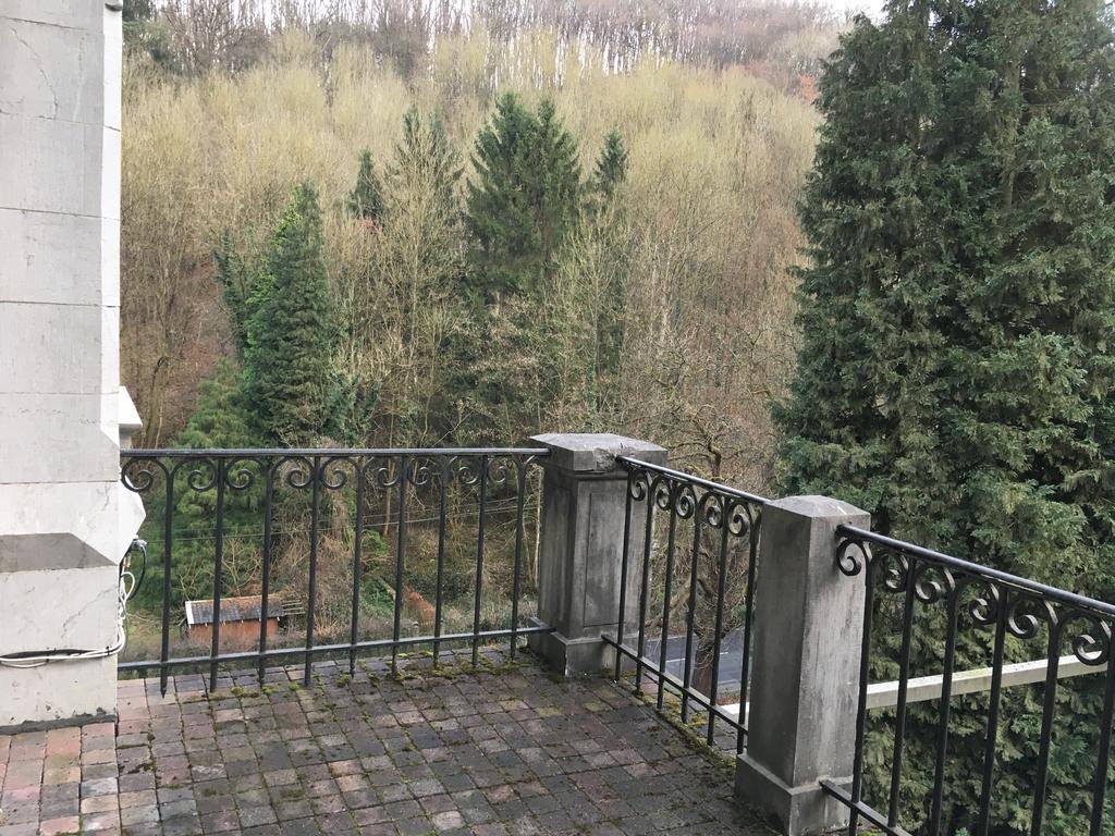 Chateau Bleu Hotel Trooz Luaran gambar