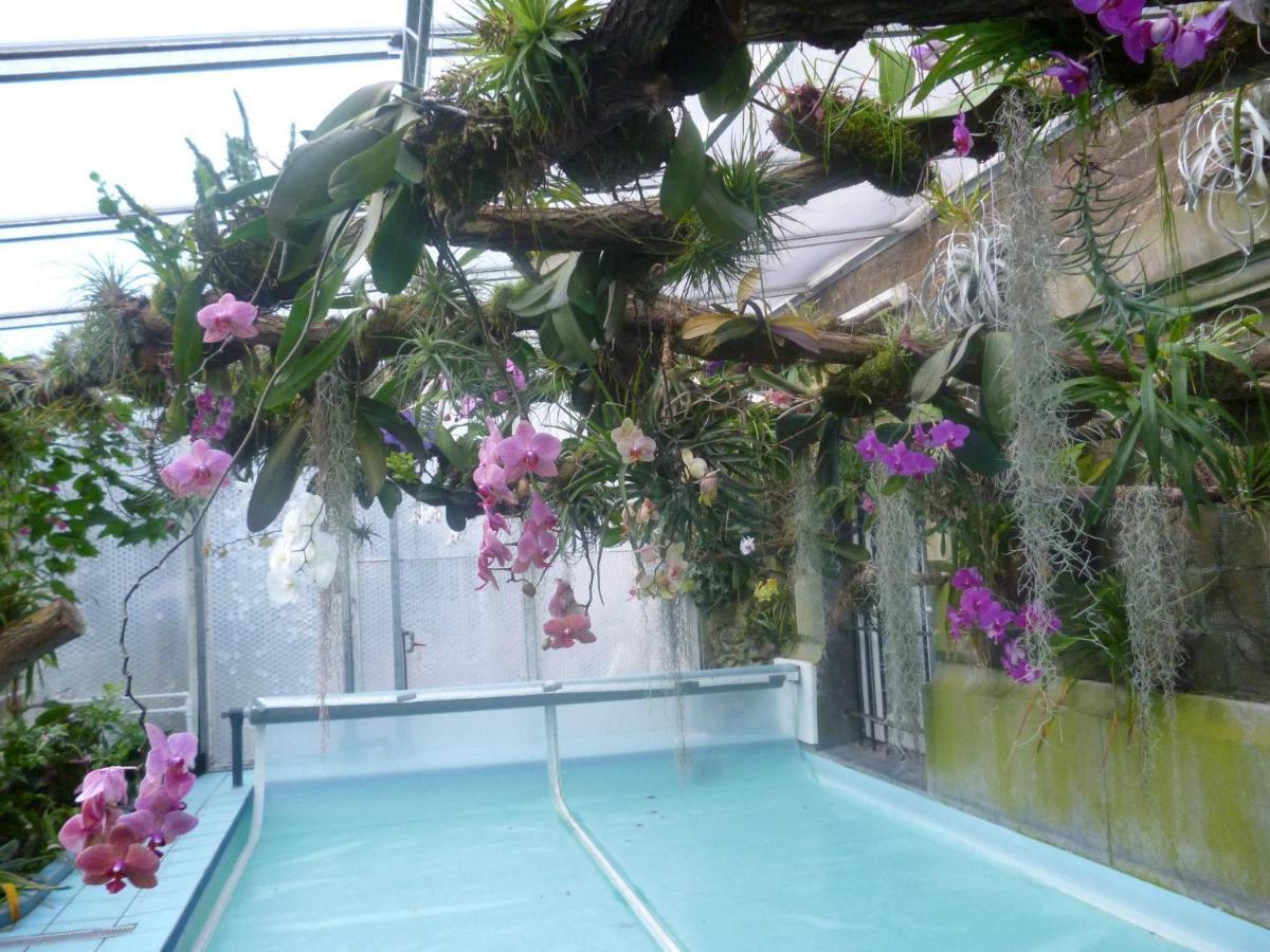 Chateau Bleu Hotel Trooz Luaran gambar